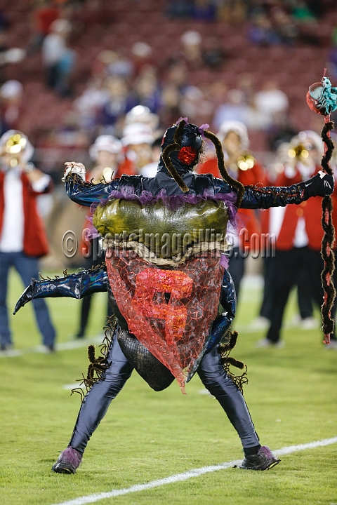2015StanWash-019.JPG - Oct 24, 2015; Stanford, CA, USA; Stanford Cardinal band drum major dressed as a cockroach leads the band prior to game against the Washington Huskies at  Stanford Stadium. 